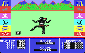 Ninja Master - Commodore 64