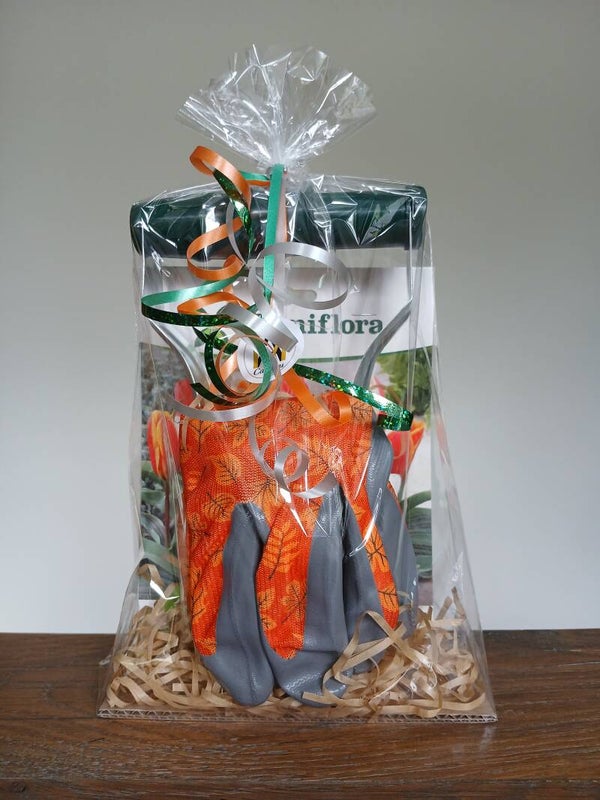 Tulpenbollen pakket