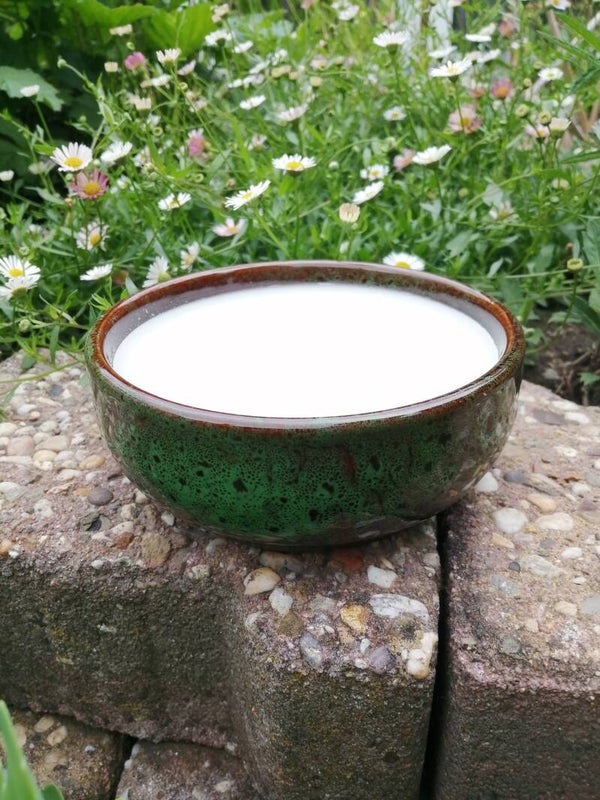 Citronella kaars voor buiten Groen
