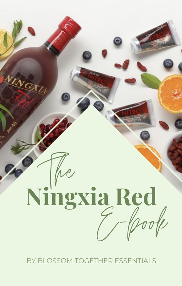 Ningxia E-Book