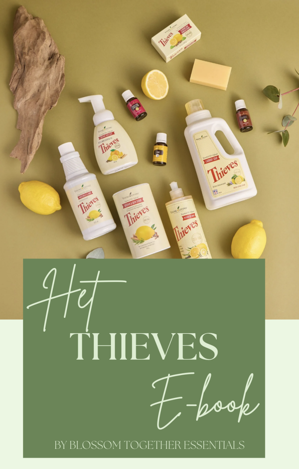 Het Thieves E-book
