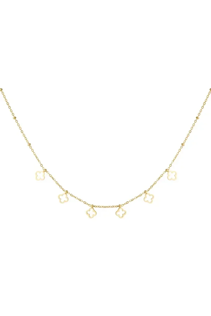 Lots of luck necklace