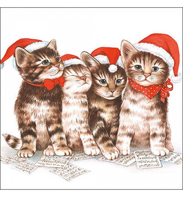 Singing cats