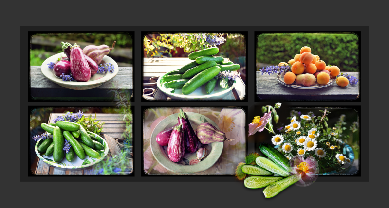 malaya-fotografie-auberginen-gurken-aprikosen-standard-ebvywz.png