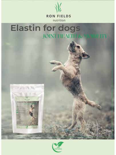 Ron Fields Nutrition- Elastin for dogs