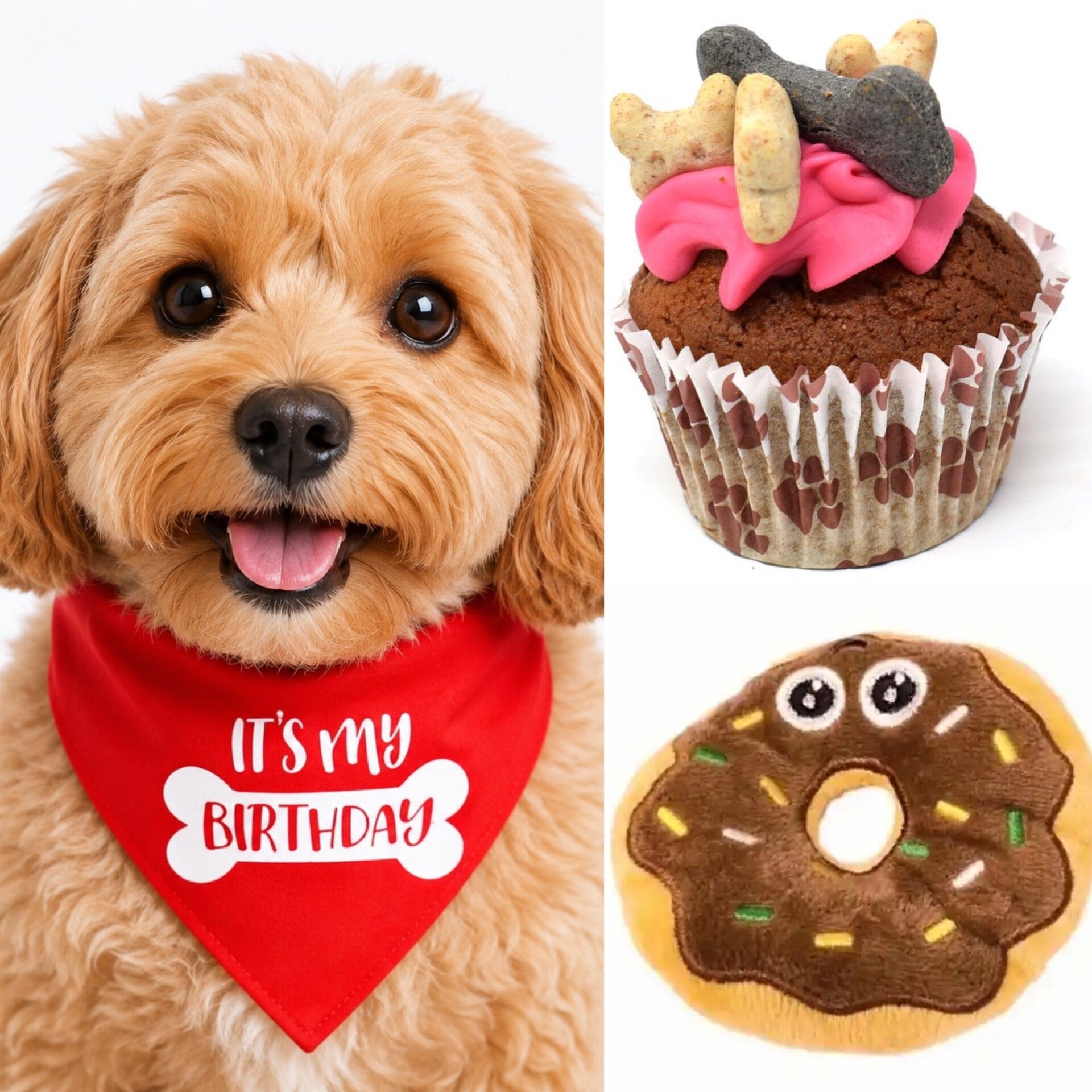 Honden cadeau- en snack pakket met bandana, 3 muffins en 1 donut speeltje