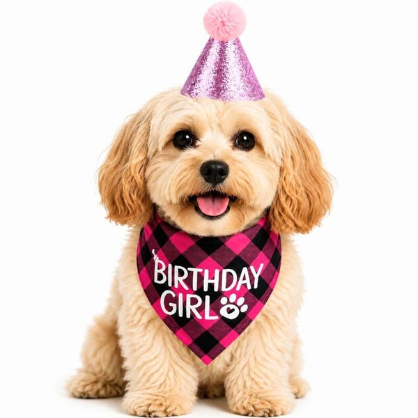 2-delige Honden verjaardags set Birthday Girl roze