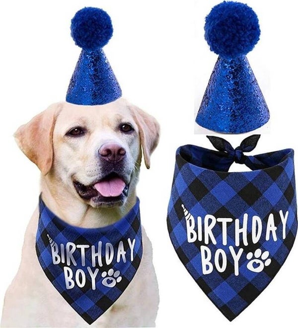 2-delige Honden verjaardags set Birthday Boy donker blauw