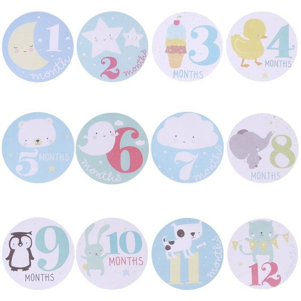 Baby en zwangerschap Milestone stickers Little Lovely Boy