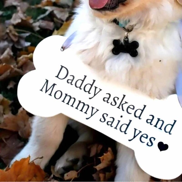 Houten bord in de vorm van een honden bot met de tekst Daddy Asked and Mommy said Yes