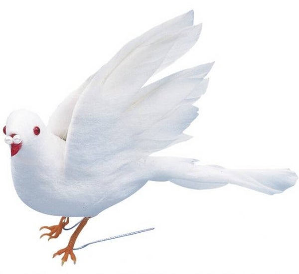 Witte duif met veren vleugels op 2 stekers