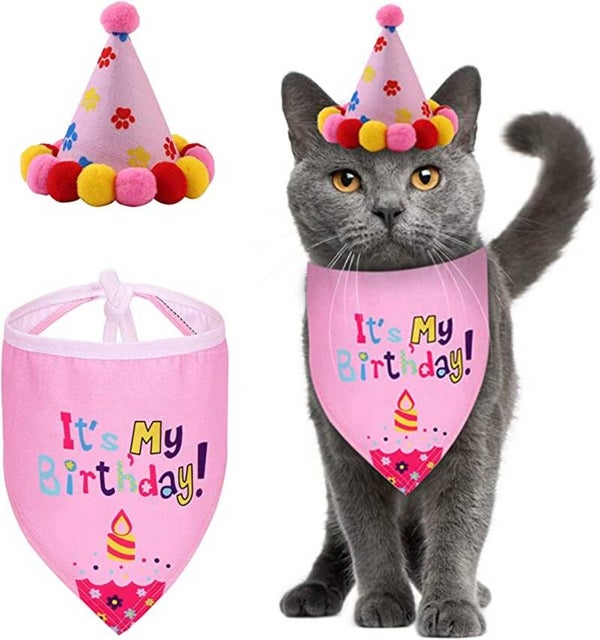 Poezen verjaardagset 2-delig It's my Birthday roze met feestmuts en bandana