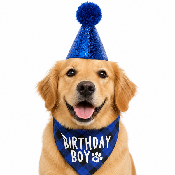 2-delige Honden verjaardags set Birthday Boy donker blauw