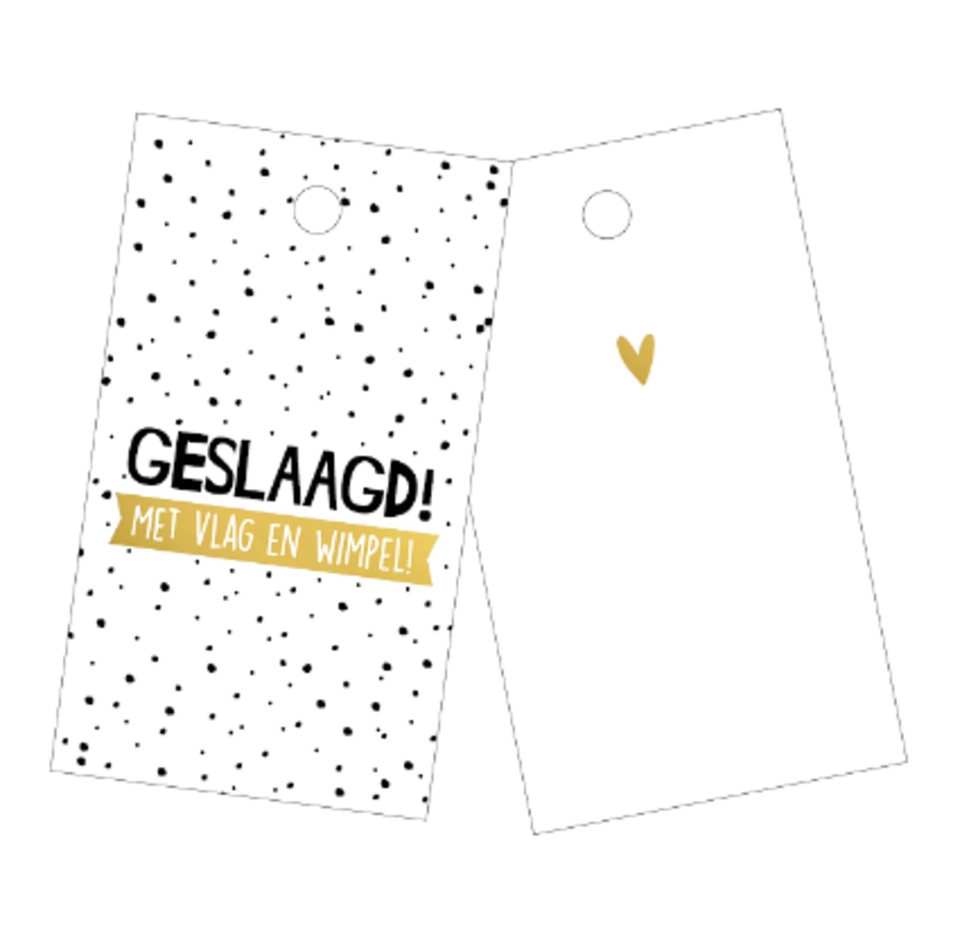 Cadeaulabel Geslaagd met vlag en wimpel - 40x70mm