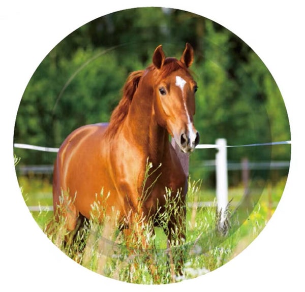 Bordjes Beautiful Horse 17,5 cm