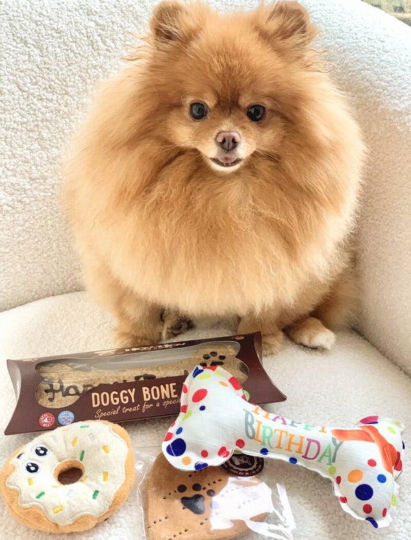 Honden verjaardags pakket 4-delig met pluche speeltjes en heerlijke koeken