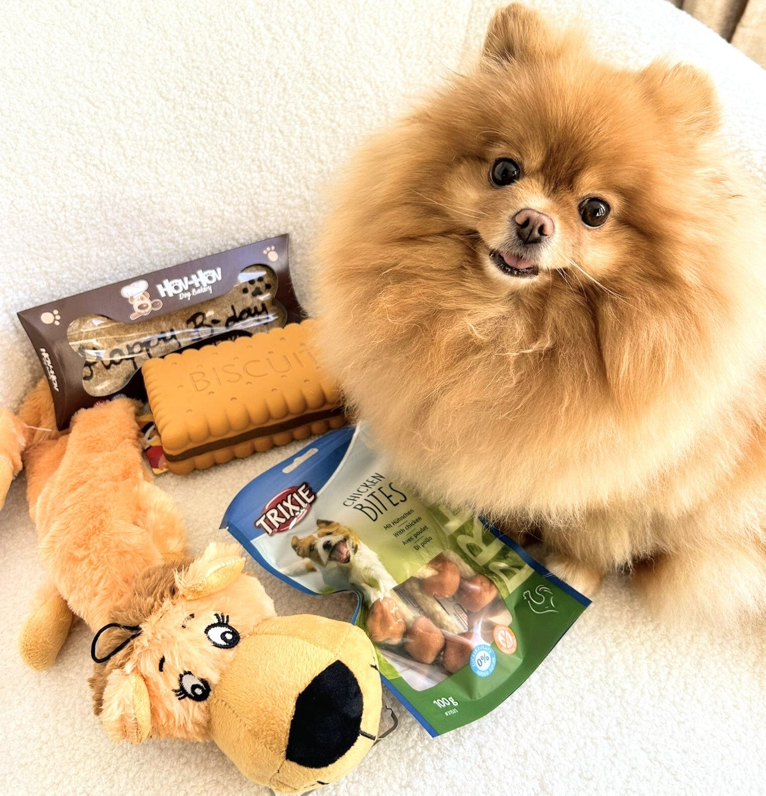 Honden verjaardags pakket 4-delig met speeltjes, botjes en heerlijke koek Happy Birthday