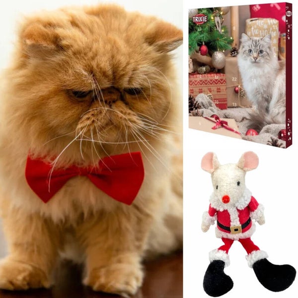 Katten kerst pakket met dasstrik, advents kalender en knuffel