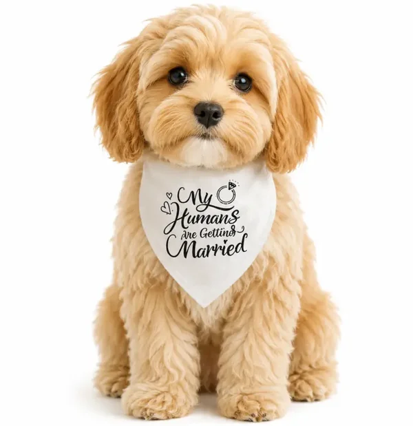 Honden bandana My Humans are getting Married