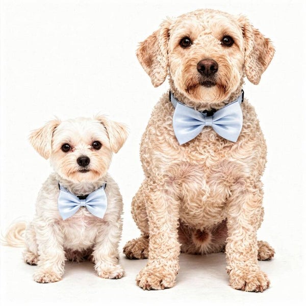 Honden strikje licht blauw S en L