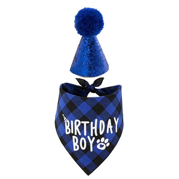 2-delige Katten verjaardags set Birthday Boy blauw