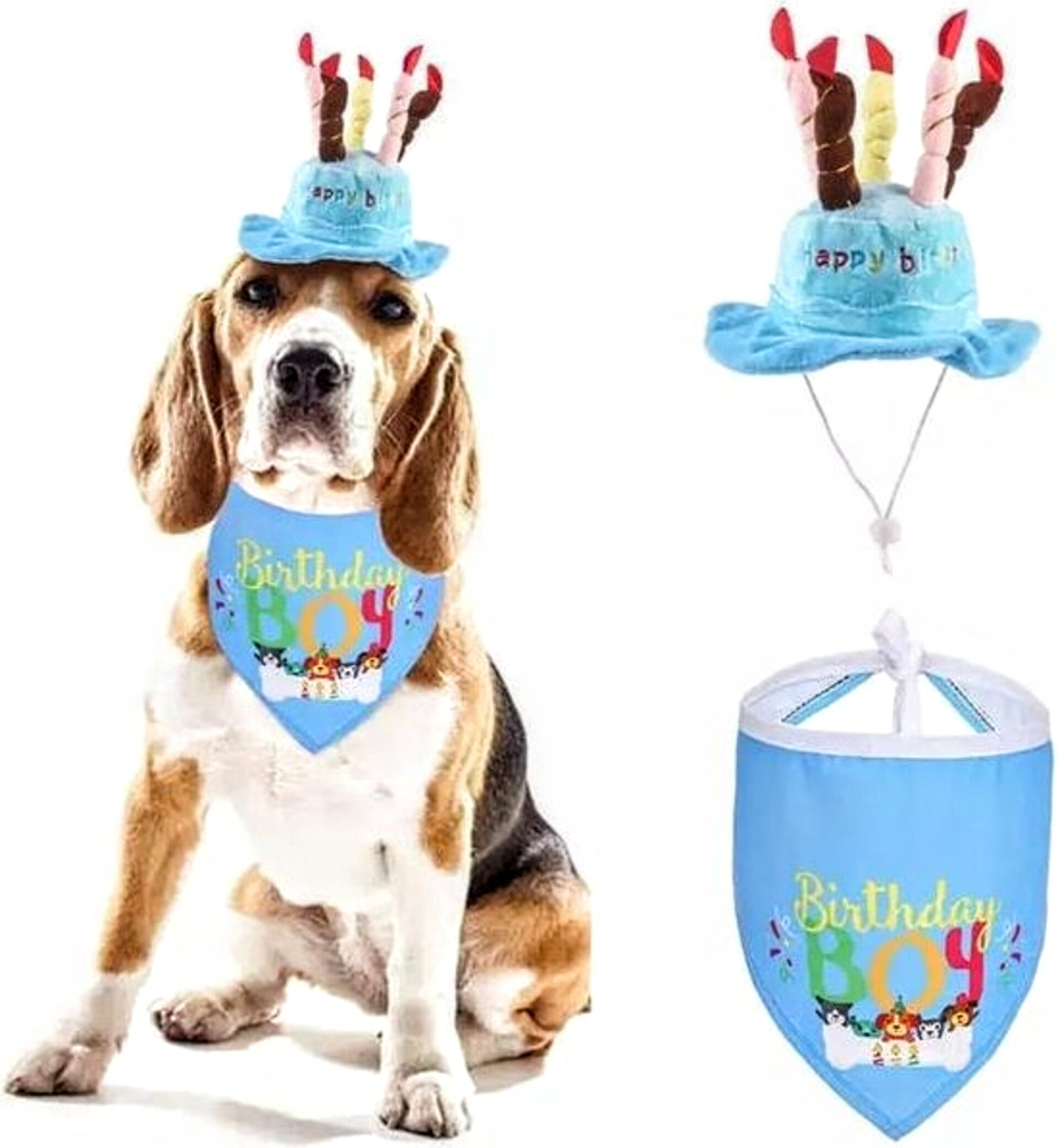 2 delige verjaardagset met hoed en bandana voor de hond blauw