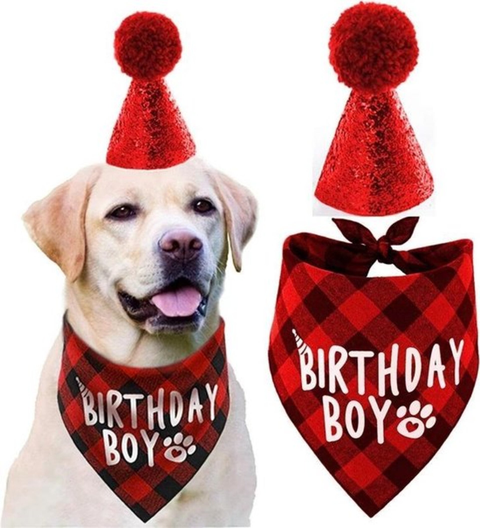 2-delige Honden verjaardags set Birthday Boy rood