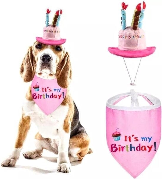 2 delige verjaardagset met hoed en bandana voor de hond roze