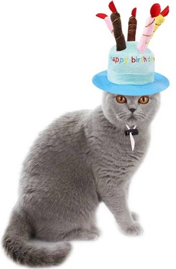 Soft pluche Happy Birthday hoed voor katten blauw