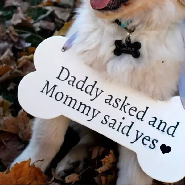 Houten bord in de vorm van een honden bot met de tekst Daddy Asked and Mommy said Yes
