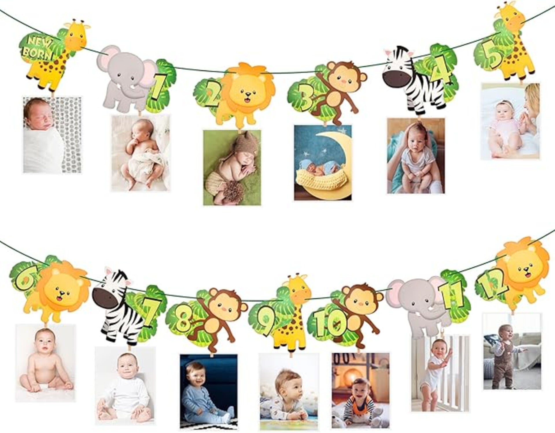 Milestone foto banner Jungle Animals