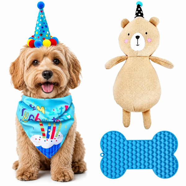 Honden verjaardagspakket blauw 4-delig met bandana, hoedje, beer en likmat