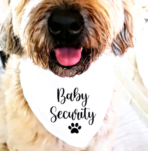 Honden bandana Baby Security wit met zwarte tekst en honden pootjes