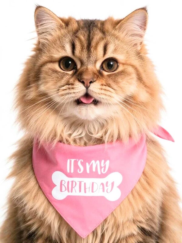 Katten bandana It's my Birthday roze