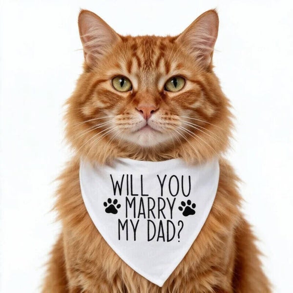 Katten bandana Will You Marry my Dad