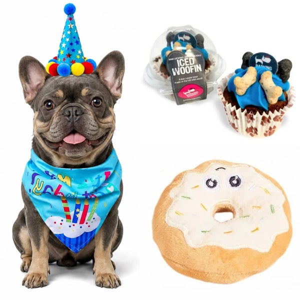 Honden cadeau Dog Party blauw