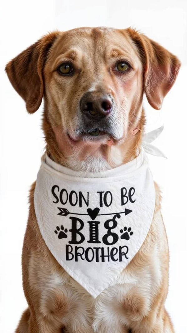 Honden bandana Soon to be Big Brother Tribal