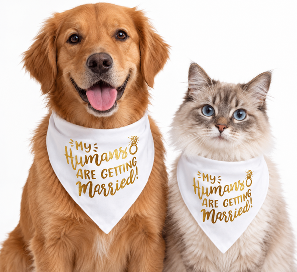 Honden of katten bandana My Humans are getting Married wit met goud