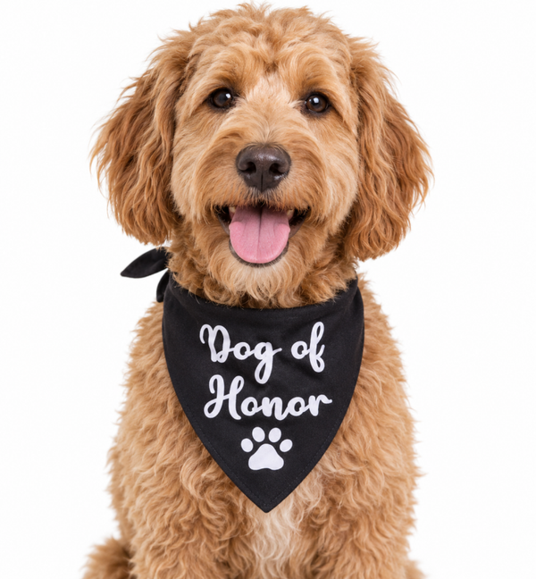 Honden bandana zwart met in wit de tekst Dog of Honor