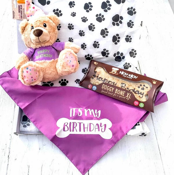 Honden verjaardags pakket Birthday Beer met bandana en koek Happy Birthday bot