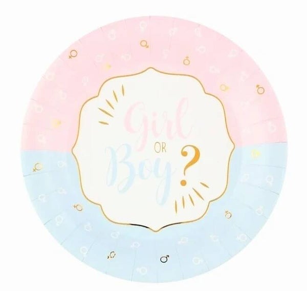 Genderreveal kartonnen bordjes Boy or Girl