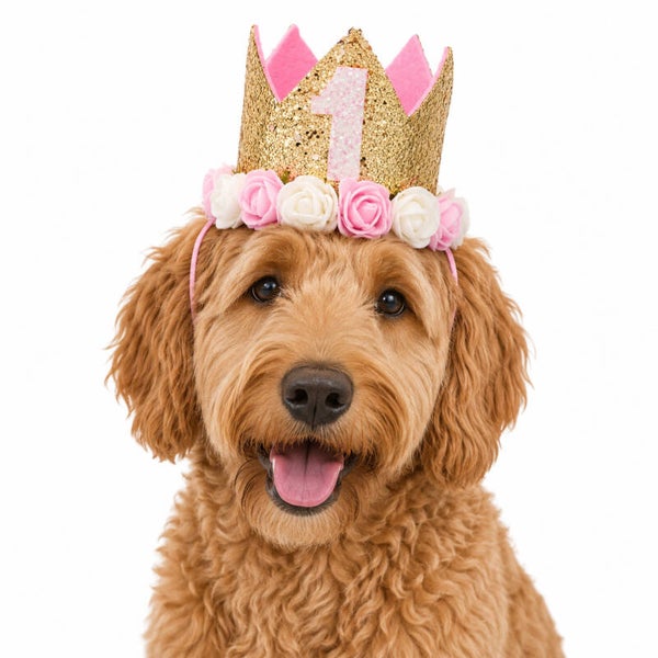 Honden verjaardagshoedje goud wit roze 1