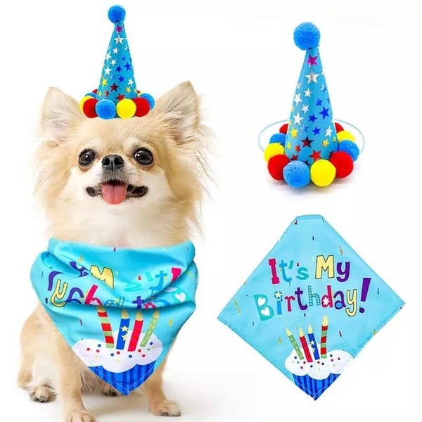 Honden verjaardagset 2-delig It's my Birthday blauw