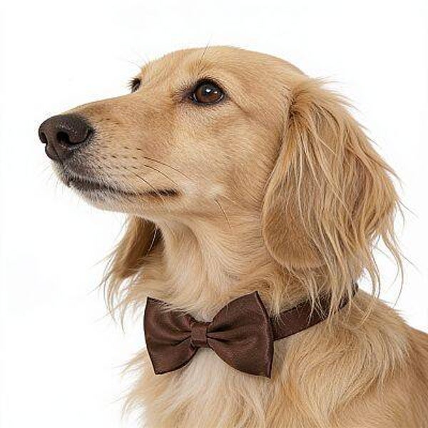 Honden strikje bruin maat S en L