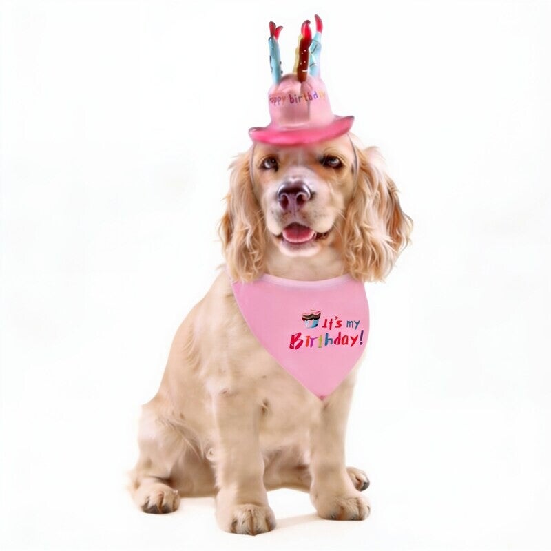 2 delige verjaardagset met hoed en bandana voor de hond roze