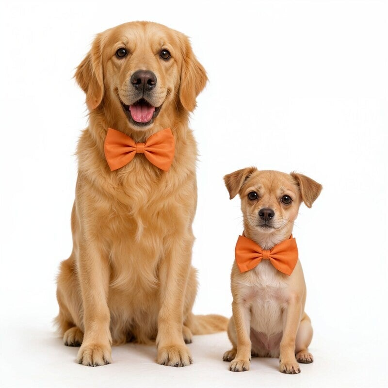 Honden strikje licht oranje maat S en L