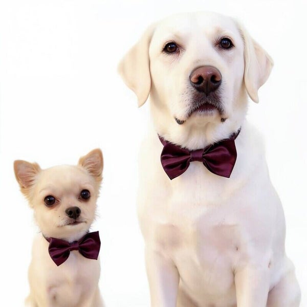 Honden strikje pruimkleurig maat S en L