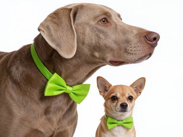 Honden strikje appel groen maat