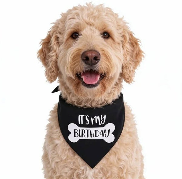 Honden bandana It's my Birthday zwart