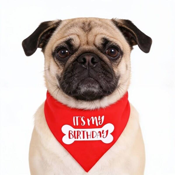 Honden bandana It's my Birthday rood